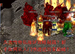 久久传奇私服SF攻略秘籍?新手如何从入门快速进阶至巅峰? 久久传奇私服SF攻略秘籍?新手如何从入门快速进阶至巅峰?