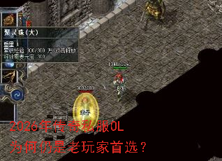 2026�괫��˽��OLΪ�������������ѡ��