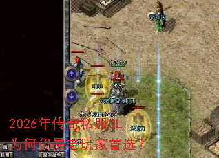 2026�괫��˽��OLΪ�������������ѡ��