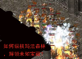 ����ݺ��귨ɭ�֣�����δ֪���أ�