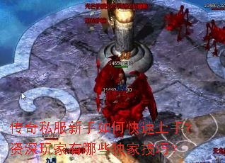 ����˽��������ο������֣������������Щ���Ҽ��ɣ�