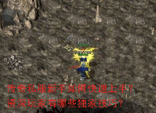 传奇私服新手如何快速上手?资深玩家有哪些独家技巧? 传奇私服新手如何快速上手?资深玩家有哪些独家技巧?