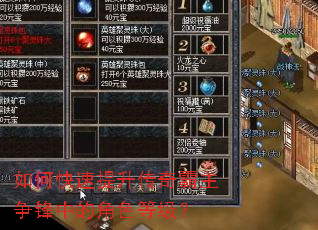 如何快速提升传奇霸主争锋中的角色等级? 如何快速提升传奇霸主争锋中的角色等级?