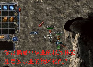 ���ƫ����ְҵ�ļ������黹�Ƕ�ְҵ�Ĳ��Դ��䣿