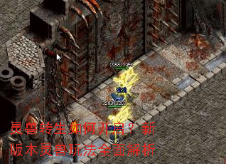 ����ת����ο������°汾�����淨ȫ�����