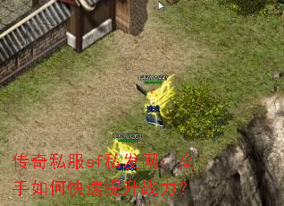 ����˽��sf˽������������ο�������ս����