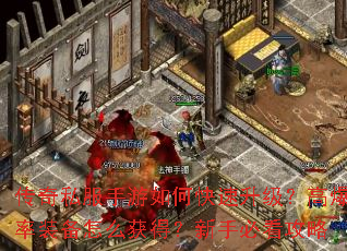 ����˽��������ο����������߱���װ����ô��ã����ֱؿ�����