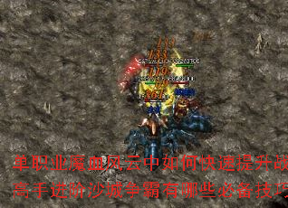 单职业魔血风云中如何快速提升战力?高手进阶沙城争霸有哪些必备技巧? 单职业魔血风云中如何快速提升战力?高手进阶沙城争霸有哪些必备技巧?