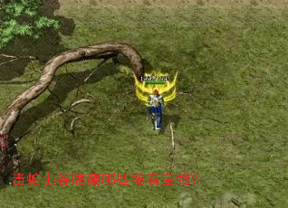 毒蛇山谷隐藏哪些稀有宝物? 毒蛇山谷隐藏哪些稀有宝物?