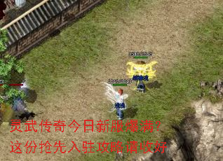 灵武传奇今日新服爆满?这份抢先入驻攻略请收好 灵武传奇今日新服爆满?这份抢先入驻攻略请收好