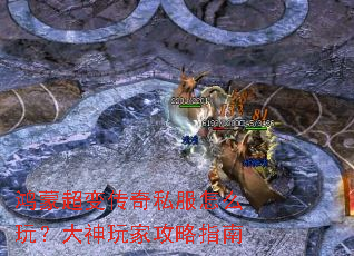 ���ɳ��䴫��˽����ô�棿������ҹ���ָ��