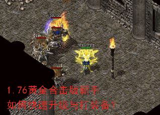 1.76�ƽ�ϻ���������ο����������װ����