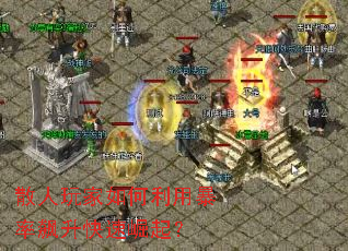 ɢ�����������ñ��������������