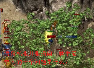 ����˽������ָ�ϣ�������ʵ�ʮ��������ʲô��