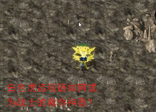 白色虎齿项链如何成为战士的救命神器? 白色虎齿项链如何成为战士的救命神器?