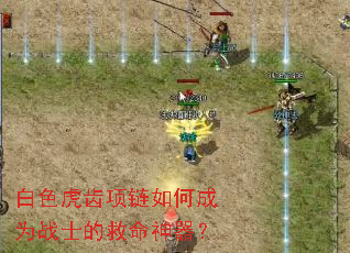 白色虎齿项链如何成为战士的救命神器? 白色虎齿项链如何成为战士的救命神器?