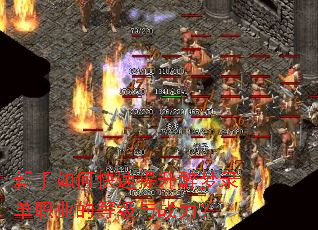 ������ο�����������¼��ְҵ�ĵȼ���ս����