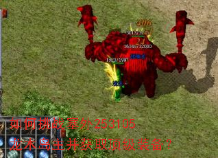 如何挑战塞外253105龙木岛主并获取顶级装备? 如何挑战塞外253105龙木岛主并获取顶级装备?