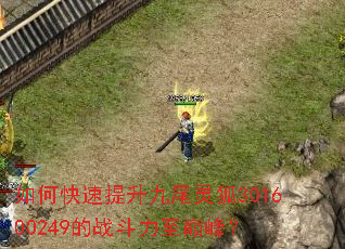 如何快速提升九尾灵狐301600249的战斗力至巅峰? 如何快速提升九尾灵狐301600249的战斗力至巅峰?