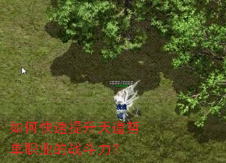 ��ο�����������ܵ�ְҵ��ս������