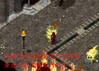 如何快速提升圣妖传奇单职业迷失版的等级与战力? 如何快速提升圣妖传奇单职业迷失版的等级与战力?