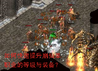 ��ο����������ɵ�ְҵ�ĵȼ���װ����