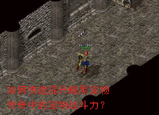 如何快速提升暗黑宠物传奇中的宠物战斗力? 如何快速提升暗黑宠物传奇中的宠物战斗力?