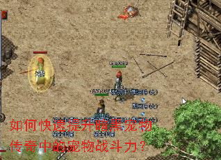 如何快速提升暗黑宠物传奇中的宠物战斗力? 如何快速提升暗黑宠物传奇中的宠物战斗力?