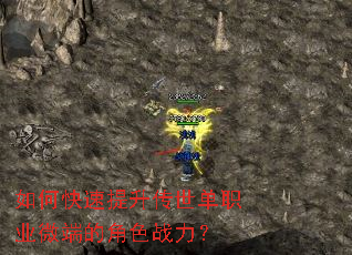 ��ο�������������ְҵ΢�˵Ľ�ɫս����