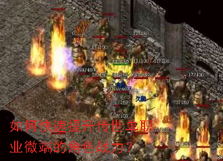 ��ο�������������ְҵ΢�˵Ľ�ɫս����