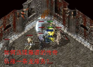 ���ѡ���׵Ĵ���˽��һ��������