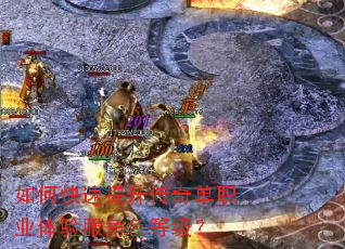 ��ο����������浥ְҵ�������ɫ�ȼ���