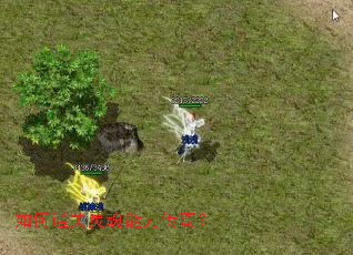 ���ͨ������������棿