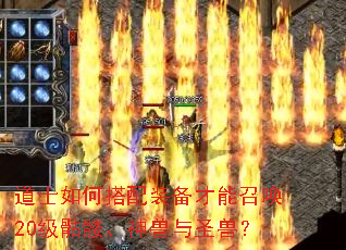 ��ʿ��δ���װ�������ٻ�20�����á�������ʥ�ޣ�