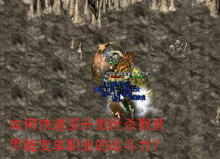 ��ο�����������ɱ¾���糬�䵥ְҵ��ս������