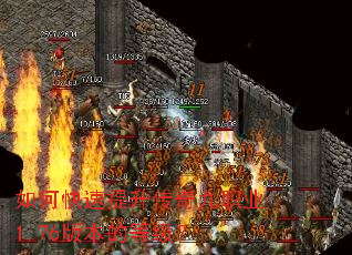 ��ο������������ְҵ1.76�汾�ĵȼ���