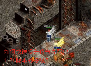 ��ο������������ְҵ1.76�汾�ĵȼ���