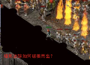 蝶影迷踪如何破茧而出? 蝶影迷踪如何破茧而出?