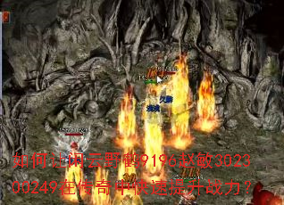 ���������Ұ��9196����302300249�ڴ����п�������ս����