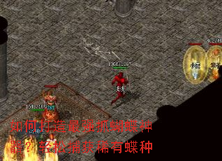 ��δ�����ǿץ�������������ɲ���ϡ�е���