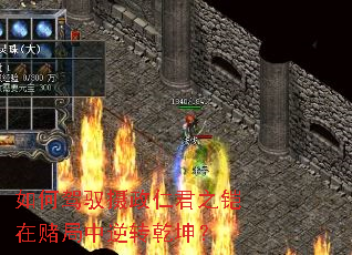 如何驾驭摄政仁君之铠在赌局中逆转乾坤? 如何驾驭摄政仁君之铠在赌局中逆转乾坤?