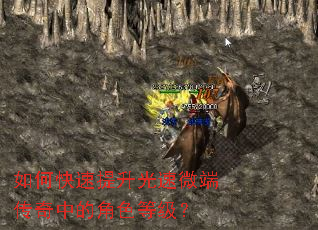 如何快速提升光速微端传奇中的角色等级? 如何快速提升光速微端传奇中的角色等级?