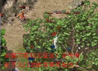 ��������귨��;���ϴ����������Ź�������Щ�ؼ���