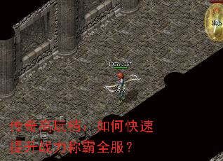 ������浵����ο�������ս���ư�ȫ����