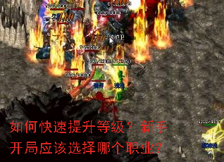 ��ο��������ȼ������ֿ���Ӧ��ѡ���ĸ�ְҵ��