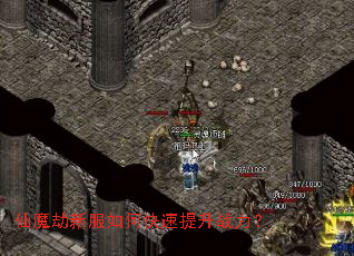 ��ħ���·���ο�������ս����