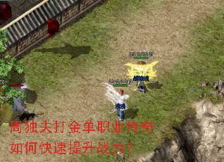 �ܶ�����ְҵ������ο�������ս����