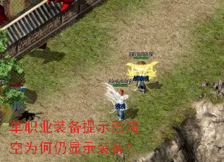 ��ְҵװ����ʾ�����Ϊ������ʾװ����