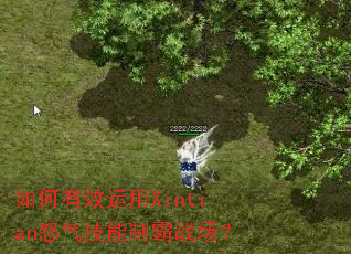 �����Ч����Xintianŭ�������ư�ս����