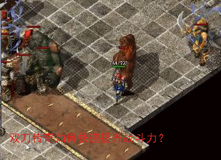 ˫��������ο�������ս������